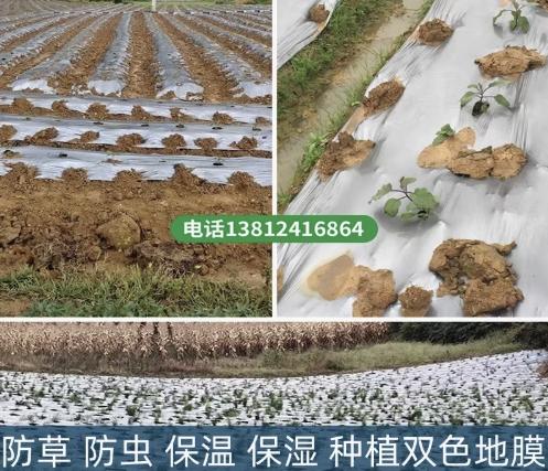 种植农用银黑地膜反光双色塑料薄膜果树果园保温保湿加厚除草膜