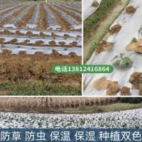 种植农用银黑地膜反光双色塑料薄膜果树果园保温保湿加厚除草膜